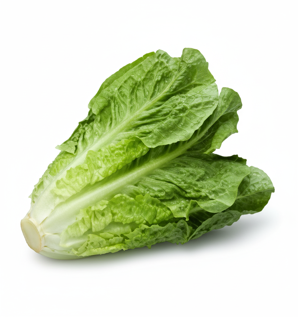 LECHUGA OREGONA (PRECIO POR PIEZA)